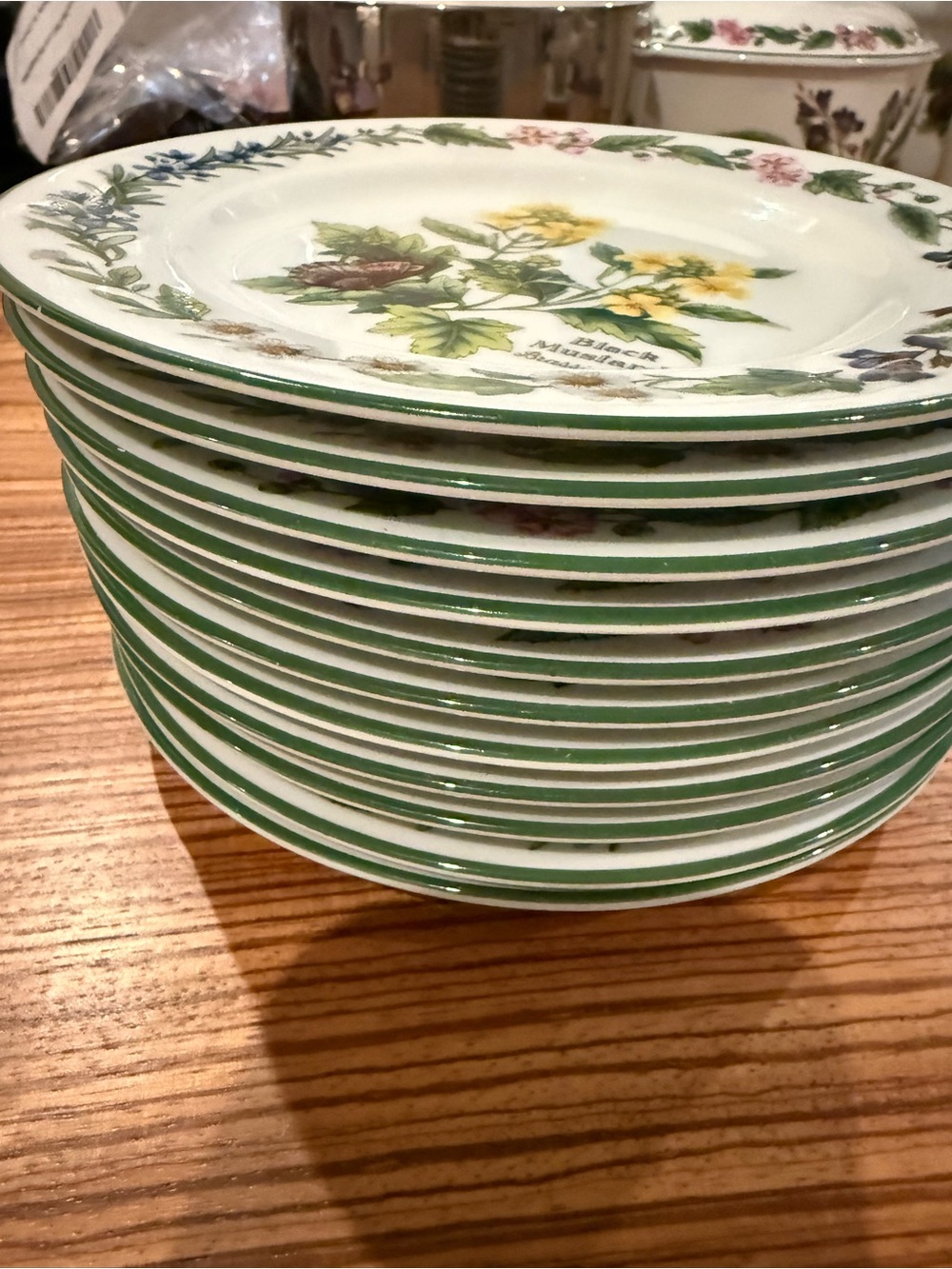 Royal Worcester White Porcelain Dinner Plates with Green Trim and Floral Motif